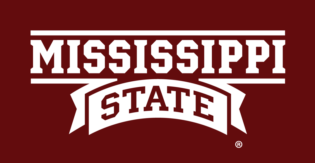Mississippi State Bulldogs 2009-Pres Wordmark Logo t shirts iron on transfers v2